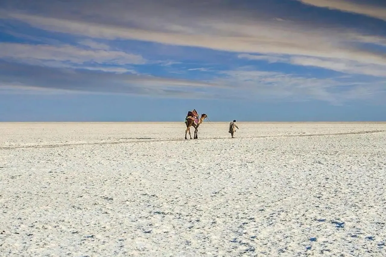 Salt land kutch.jpg
