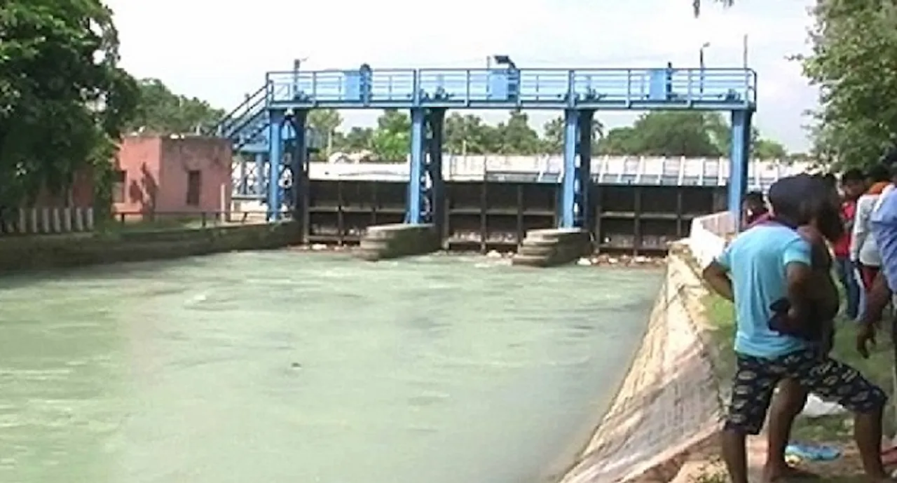 Bhakra canal