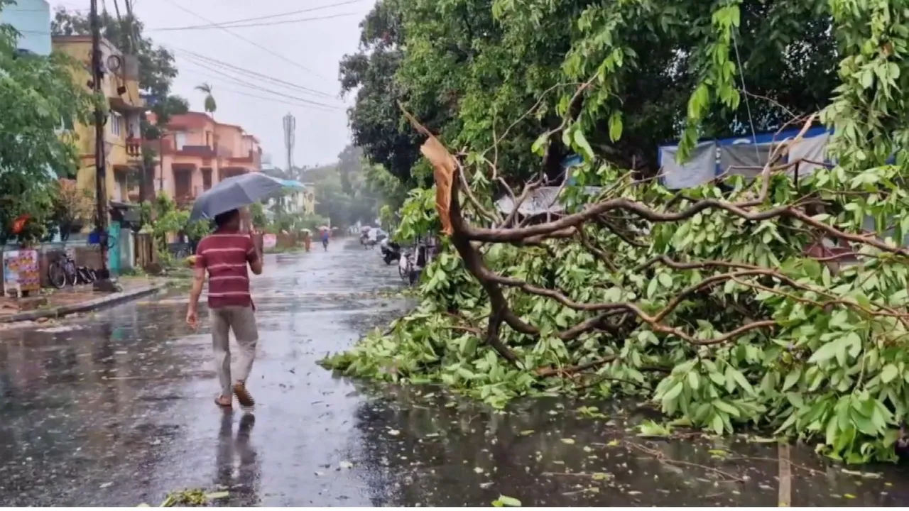 A man walks past an uprooted tree following the landfall of Cyclone 'Remal', at Bidhannagar in North 24 Parganas district, Monday, May 27, 2024