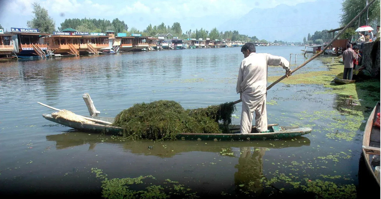 Dal Lake weed into fertiliser