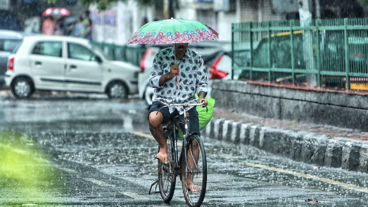 A man rides a bicycle while holding an umbrella during rain, at Jangpura area, in New Delhi, Thursday, July 25, 2024.