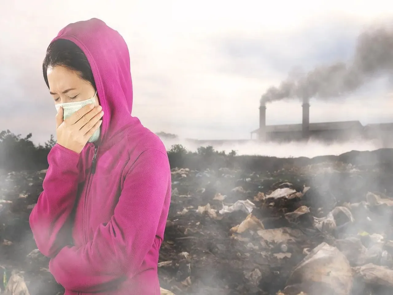 Air Pollution Heart Disease.jpg