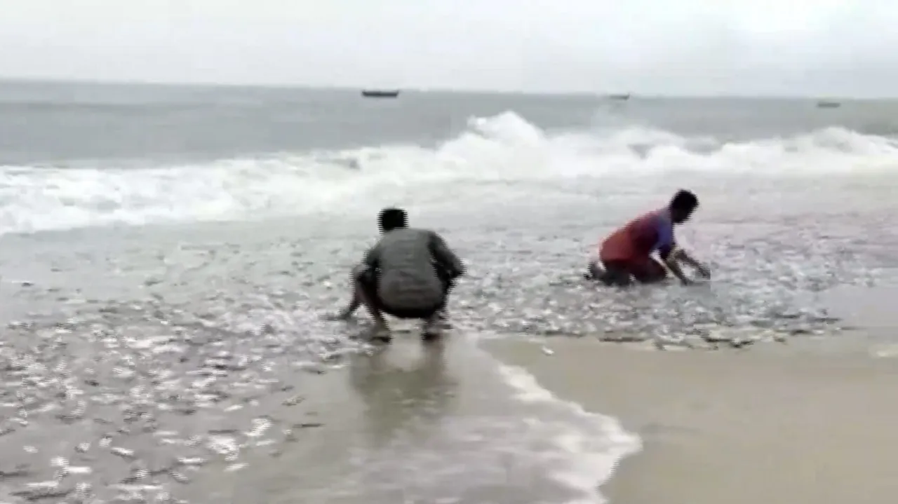 People collect fish washed ashore by sea waves owing to Cyclone Michaung, in Visakhapatnam