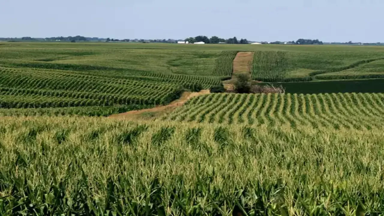 farmland Farming agriculture 