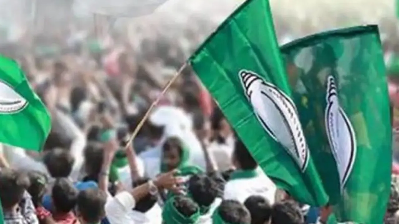 BJD flags