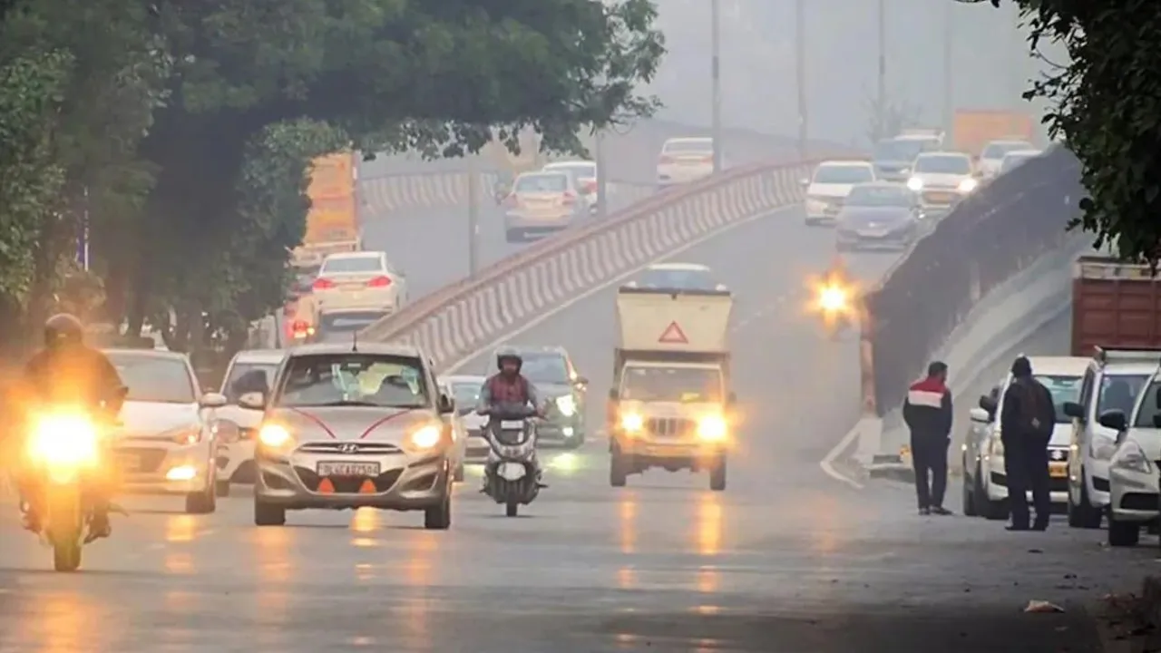 Summers morning traffic cars 