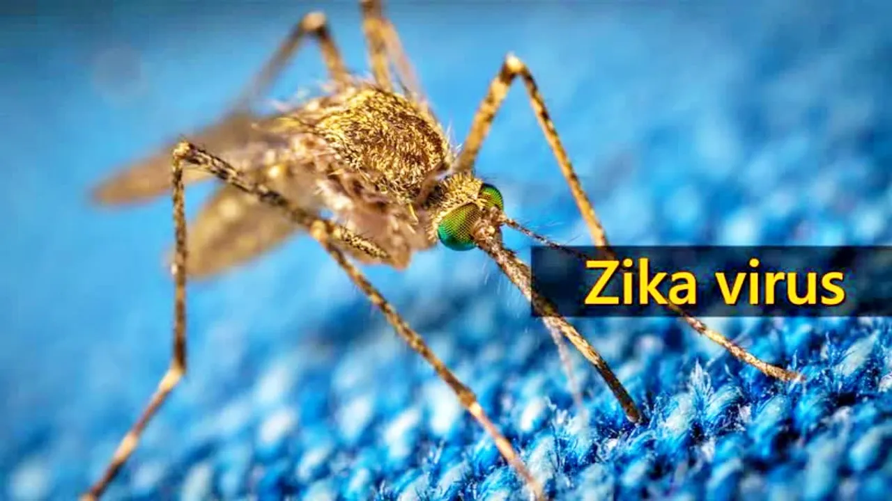 Zika Virus Vaccine