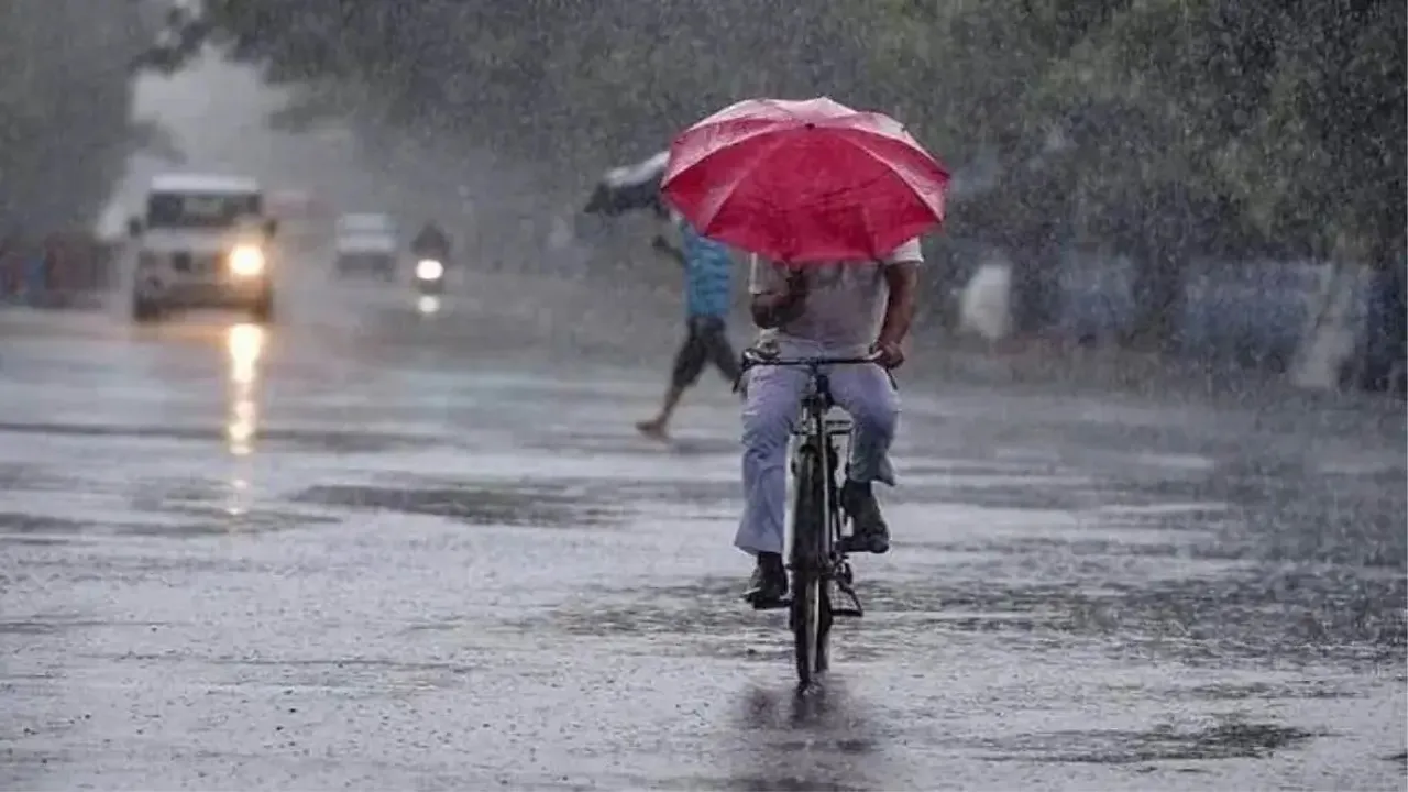 rain light rain.jpg