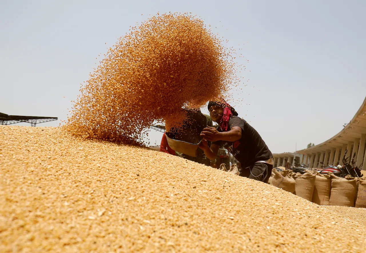 wheat farmers wholesale.jpg