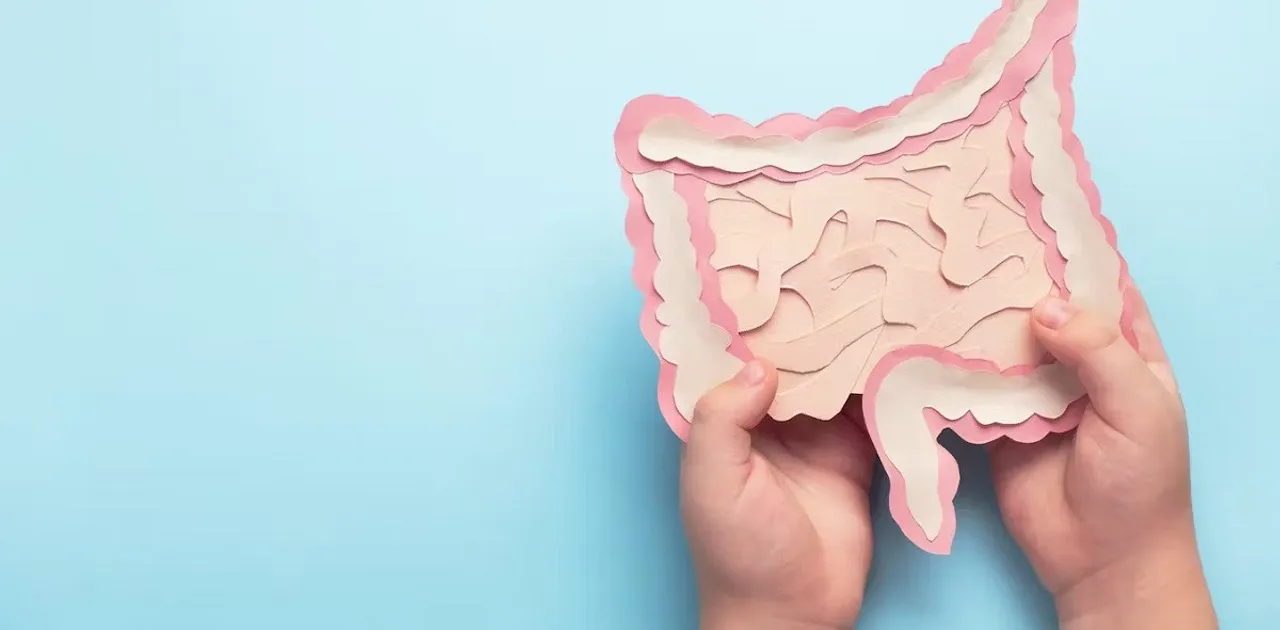Intestine bacteria.jpg