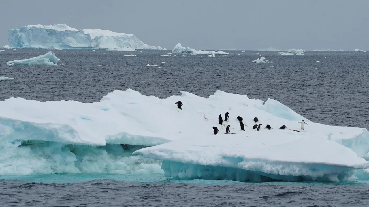 Antarctica ice melting