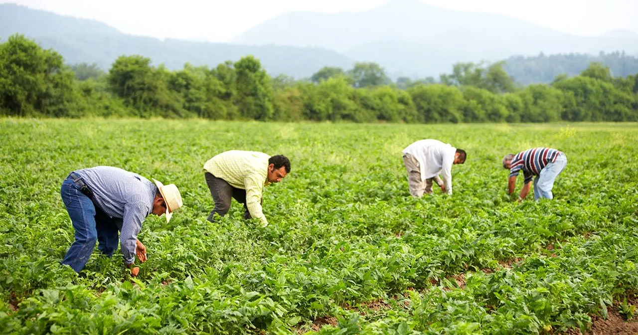 Regenerative Agriculture Farmers Crop