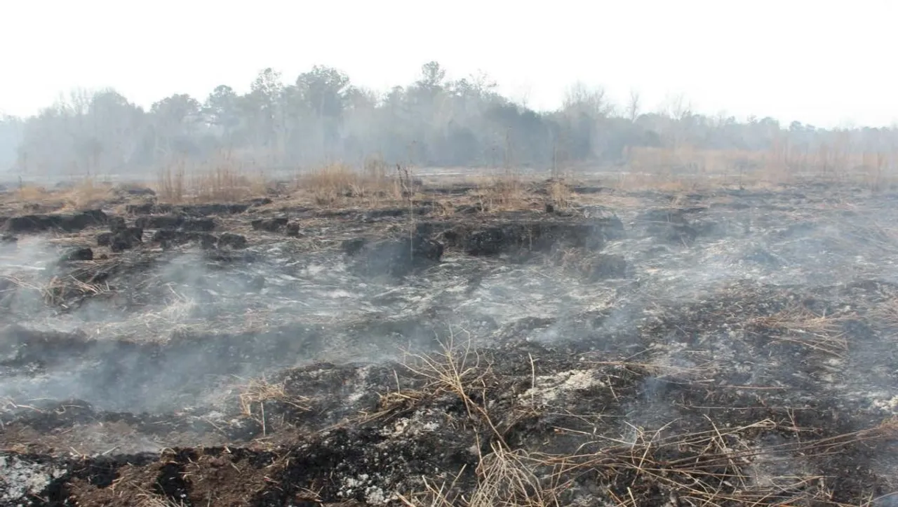 Peat fires.jpg