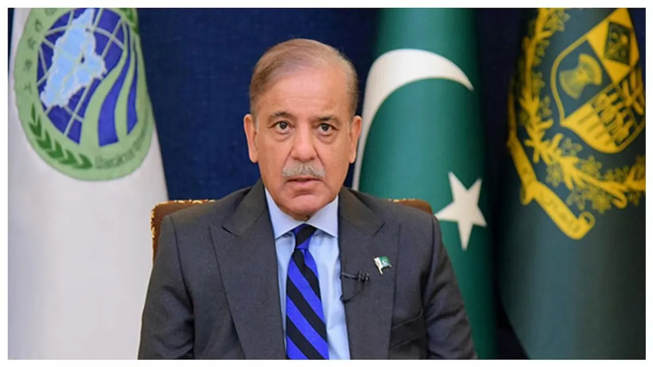 Pakistan PM Shehbaz Sharif (File image)
