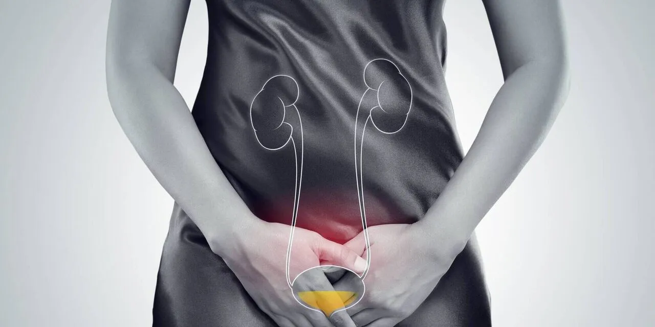Urinary tract infection UTI.jpg