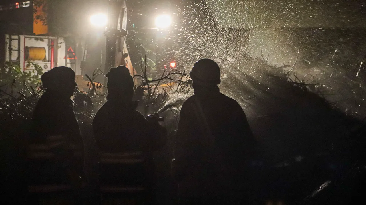 Firefighters try to extinguish a fire that broke out in a forest area near Modi Mill flyover, in New Delhi