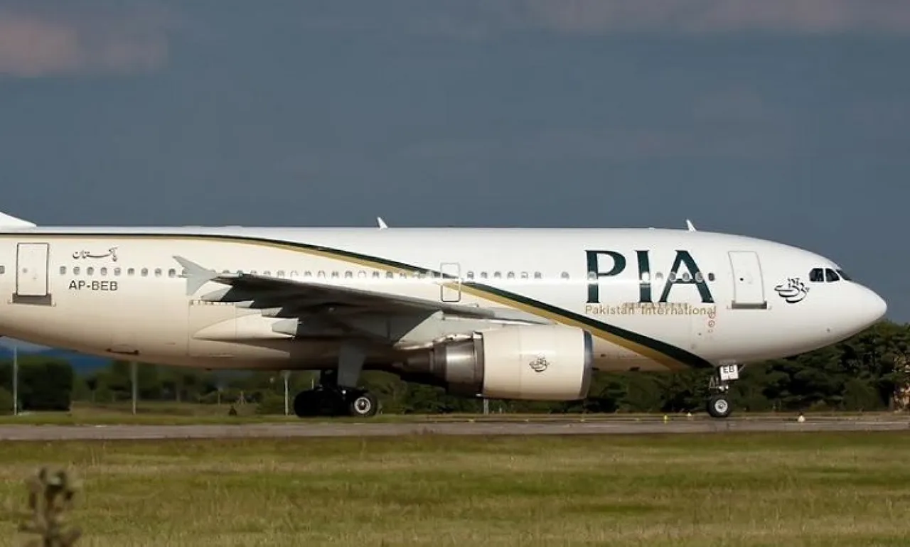 pia plane.jpg