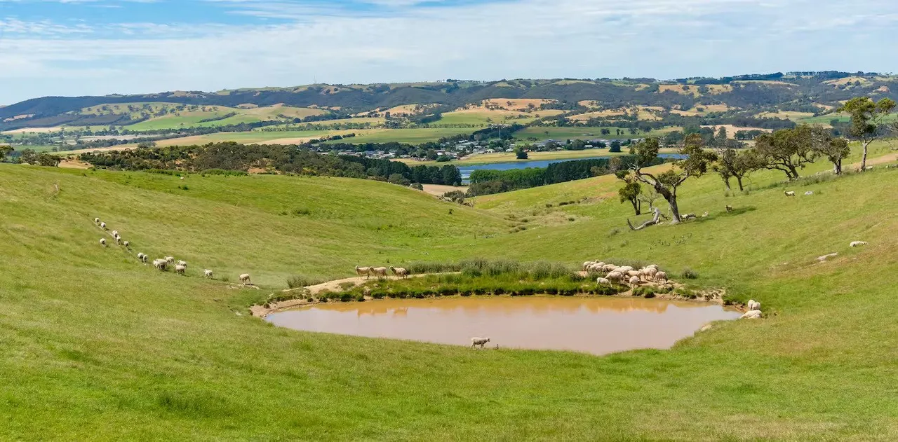 Farm dam.jpg