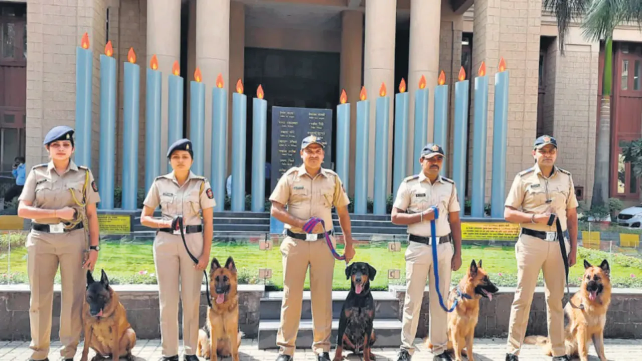police dogs for VIP events