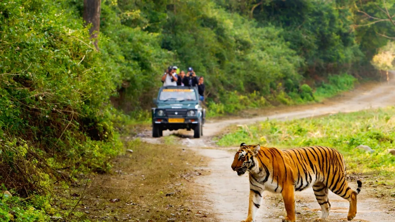 Jim Corbett National Park.jpg