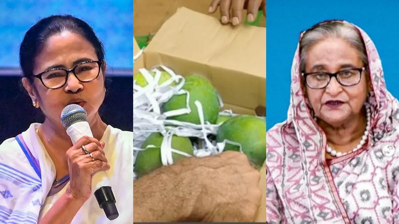 MANGOES Gift.jpg