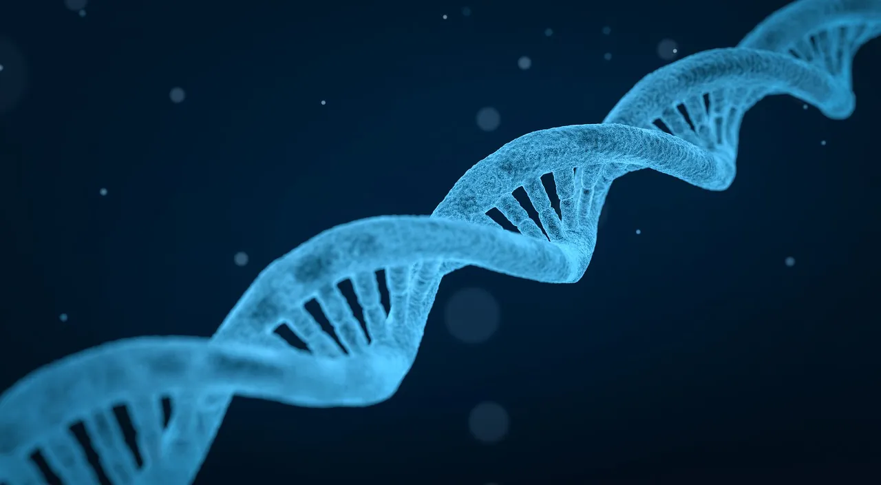 dna chromosomes.jpg