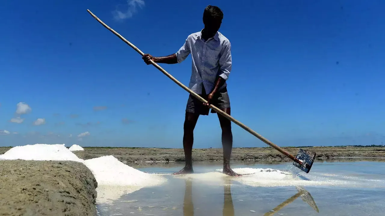 salt pan worker.jpg