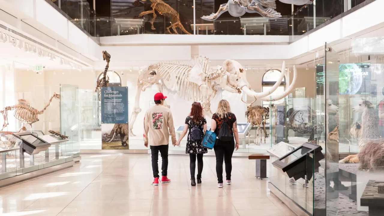 age of mammals
