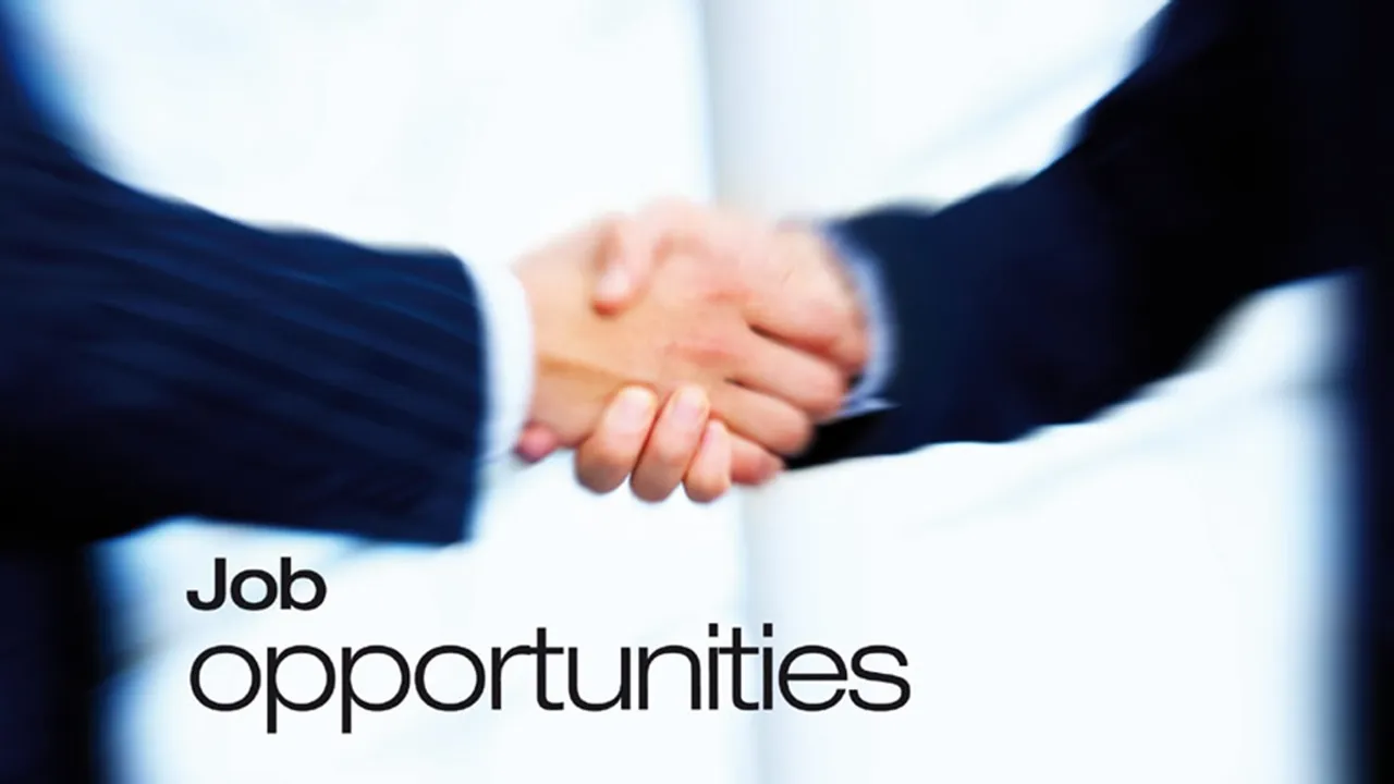 job opportunities, Employment