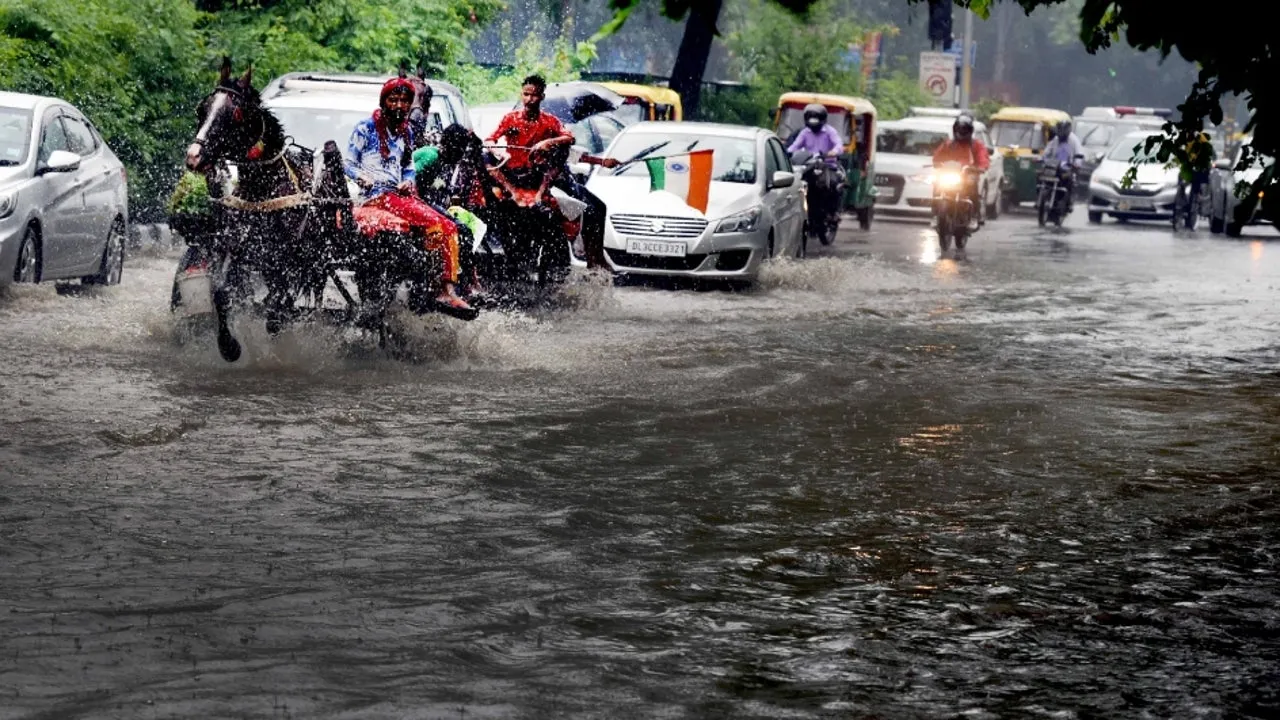 waterlogging flooding.jpg