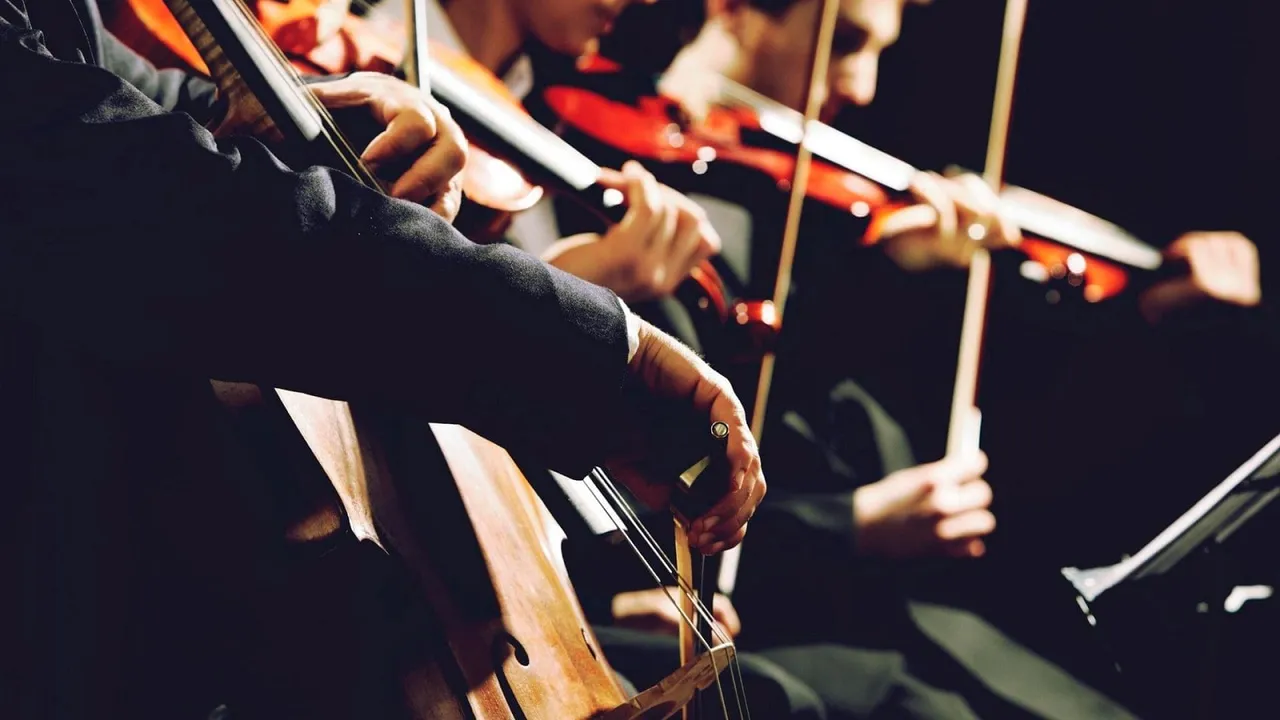 violin.jpeg