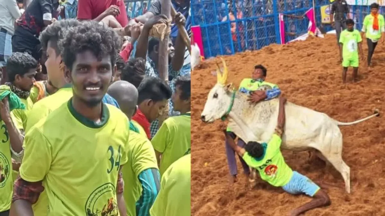 Manjuvirattu Jallikattu Bull Taming