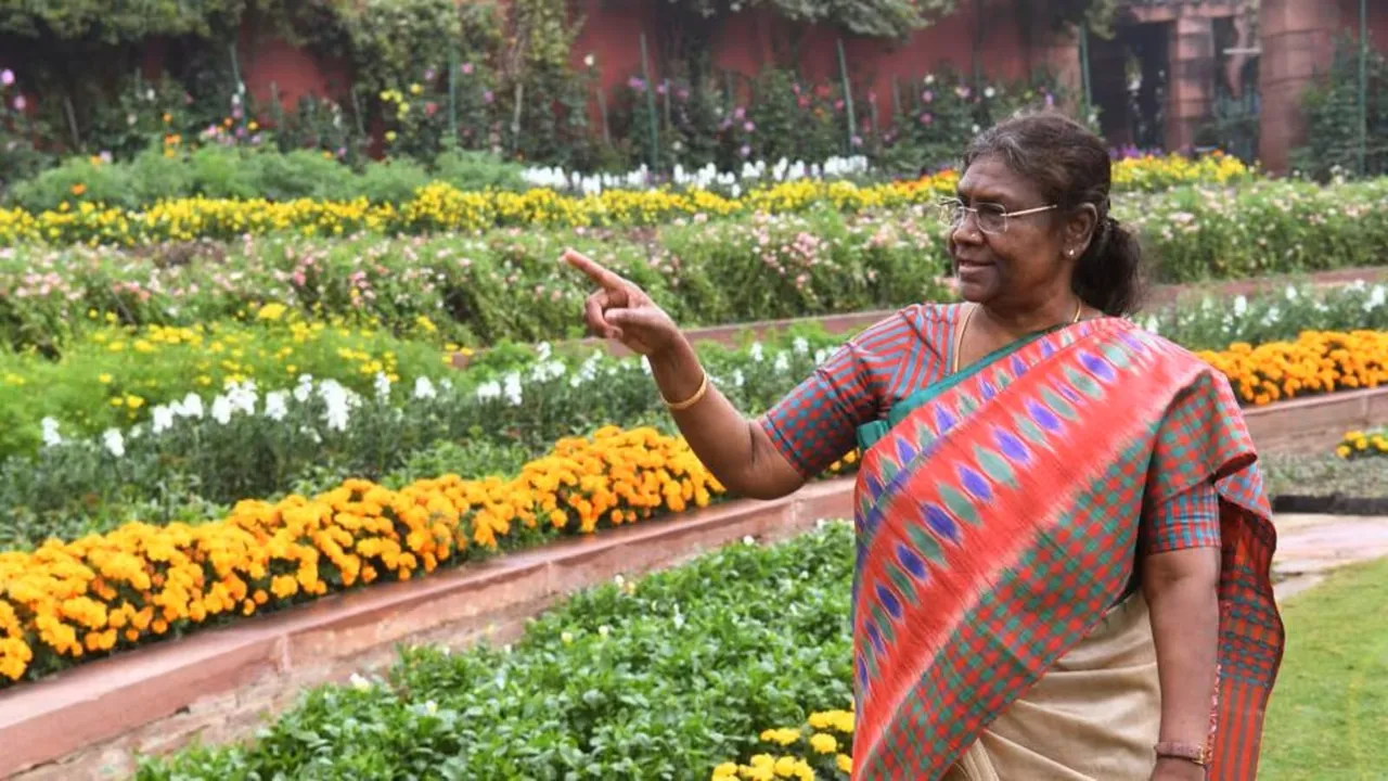 President Droupadi Murmu at Amrit Udyan in Rashtrapati Bhavan (File image)