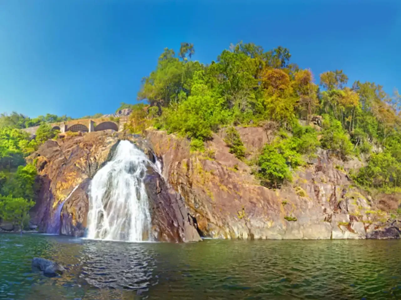 Mhadei Wildlife Sanctuary.jpg