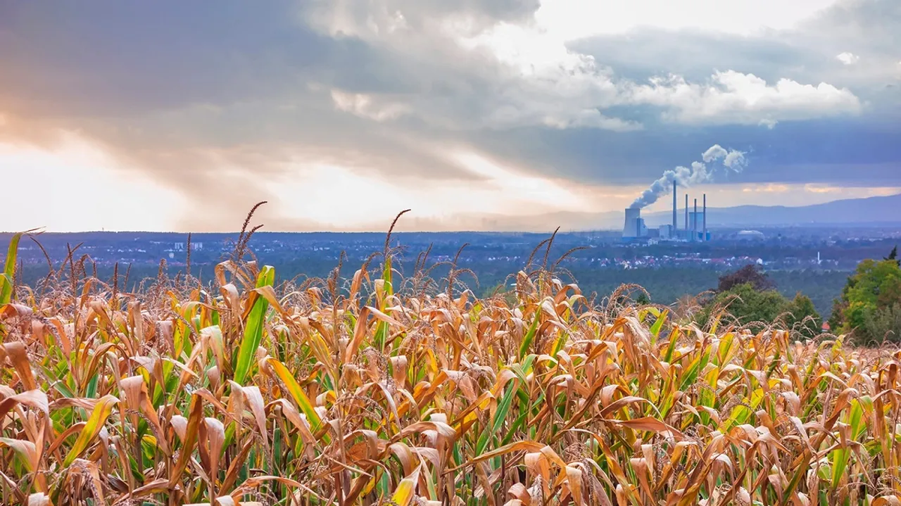 crops and ozone pollution.jpg