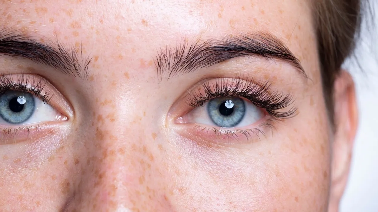 eyelashes eyebrows