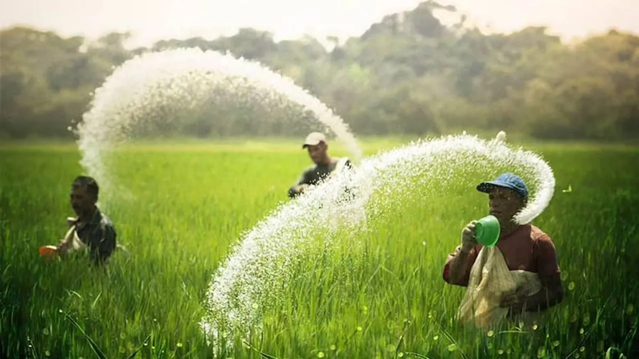 Urea