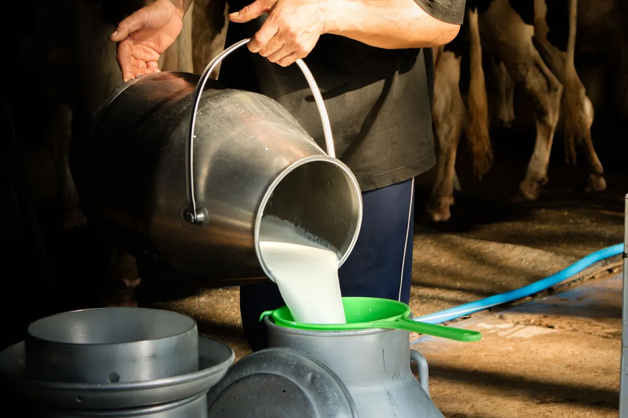 Milk Processing Plant.jpeg
