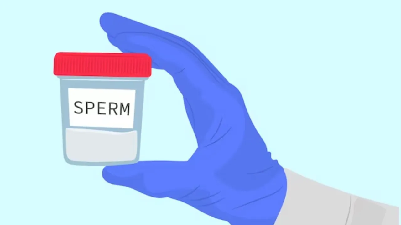 sperm count test