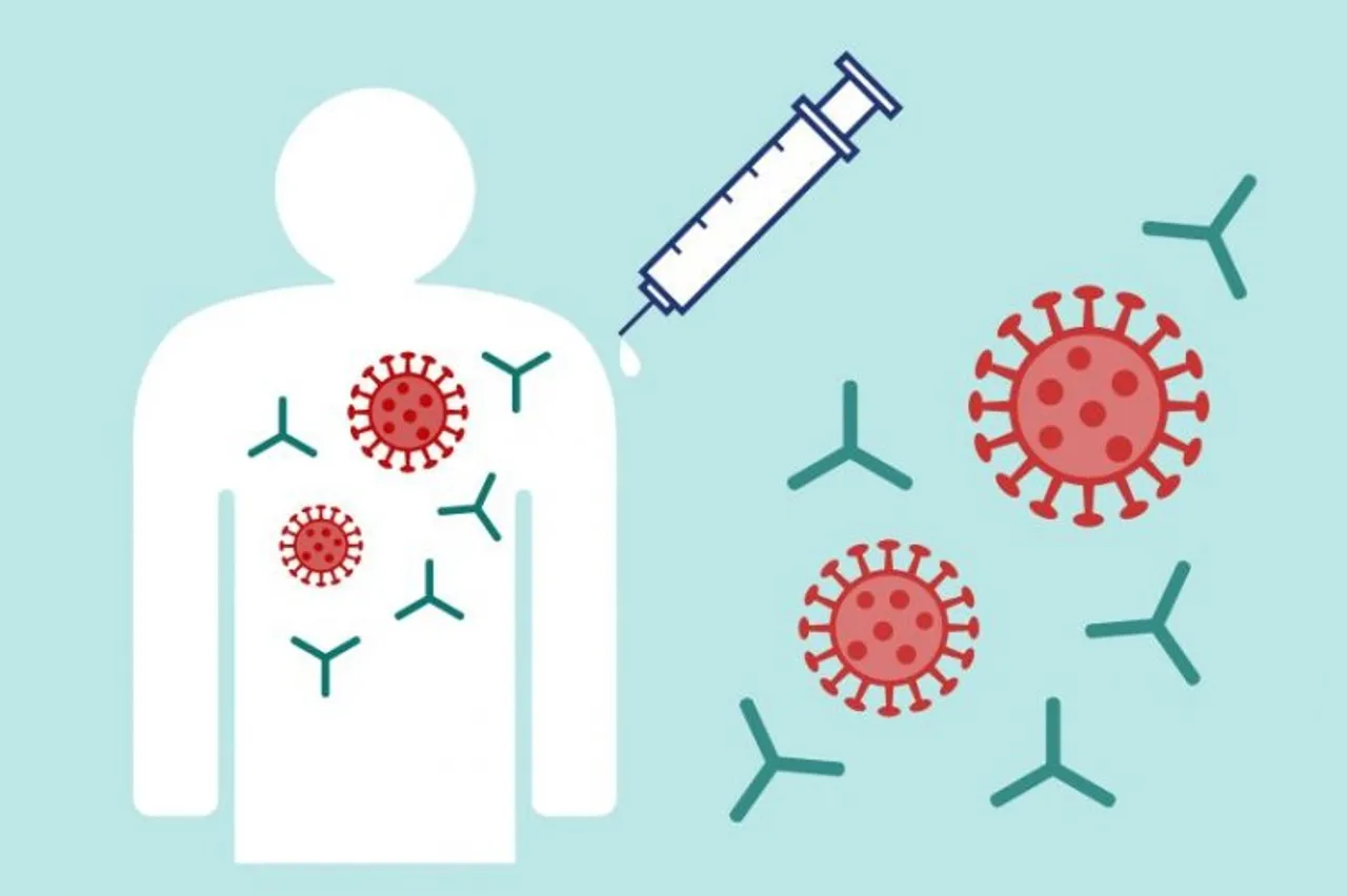 Antibodies that may lead to next-gen vaccines for all Covid strains found