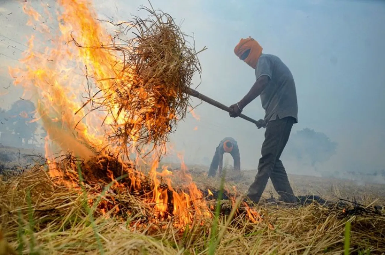Paddy stubble burning (File  photo)