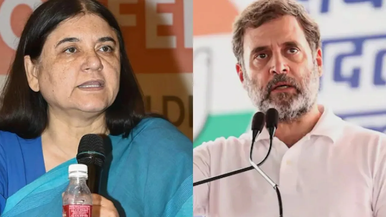 rahul gandi