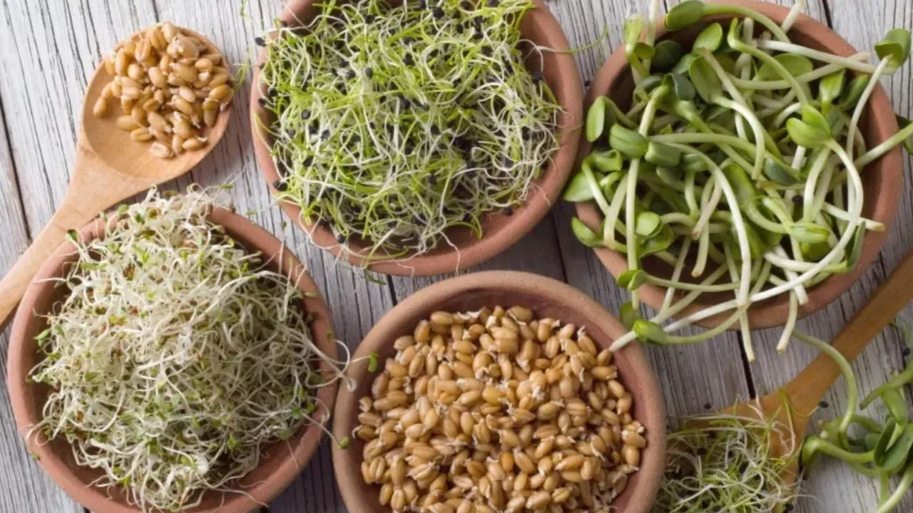 sprouts_HEALTH