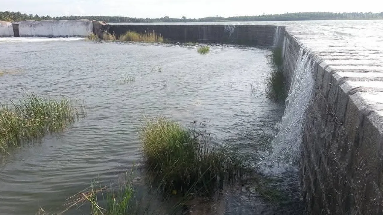 TMK_DAM_6
