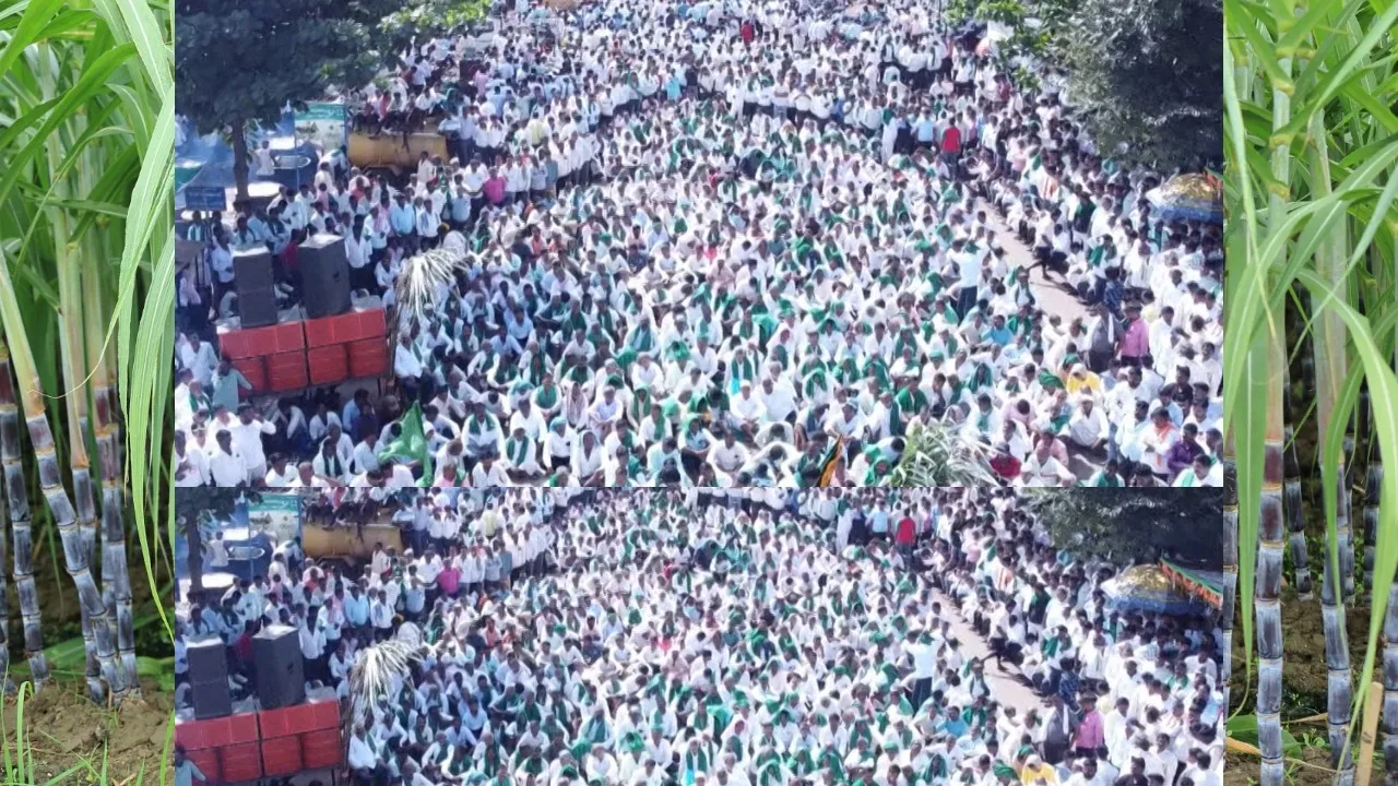 sugarcane_farmers_protest