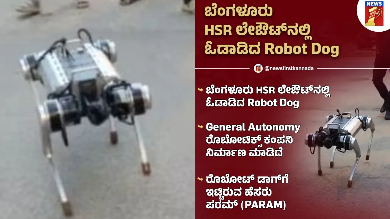 Robot dog