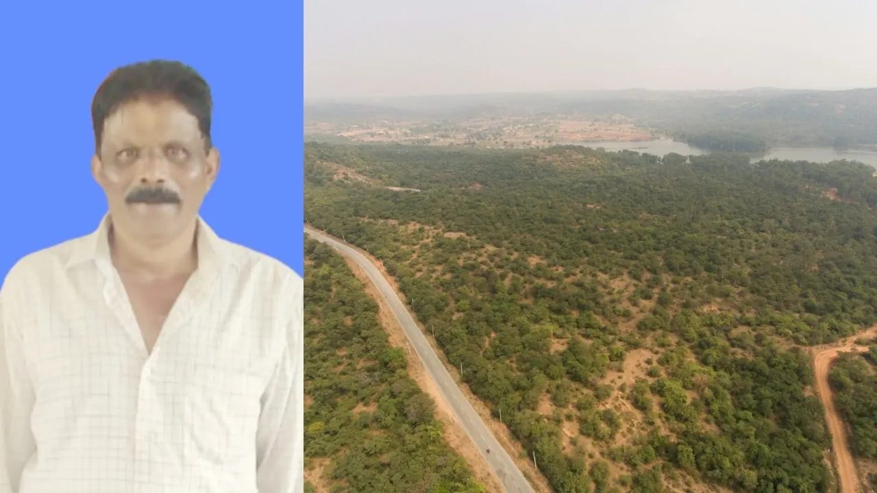 BM NEMANNA GOWDA AND FOREST DEPT CASE