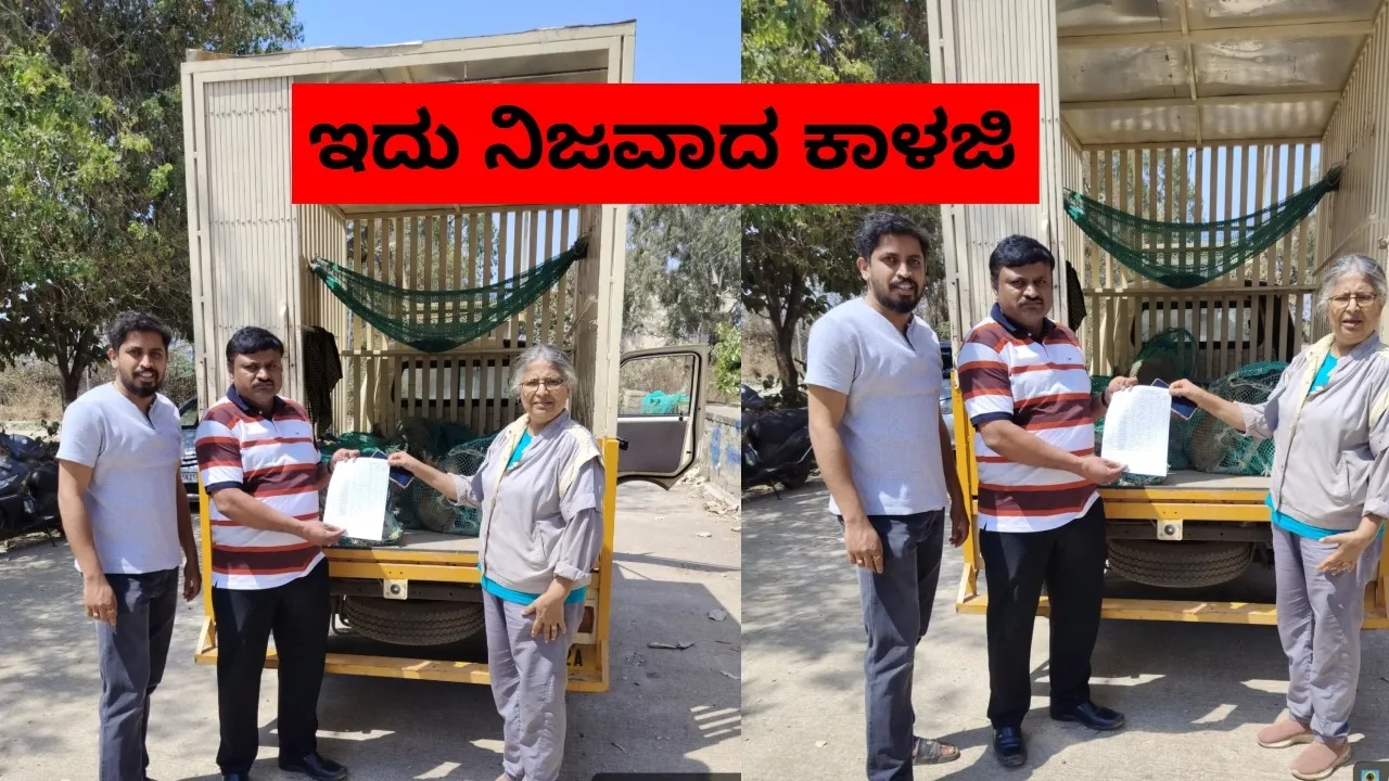 Street Dog Adoption, (2)