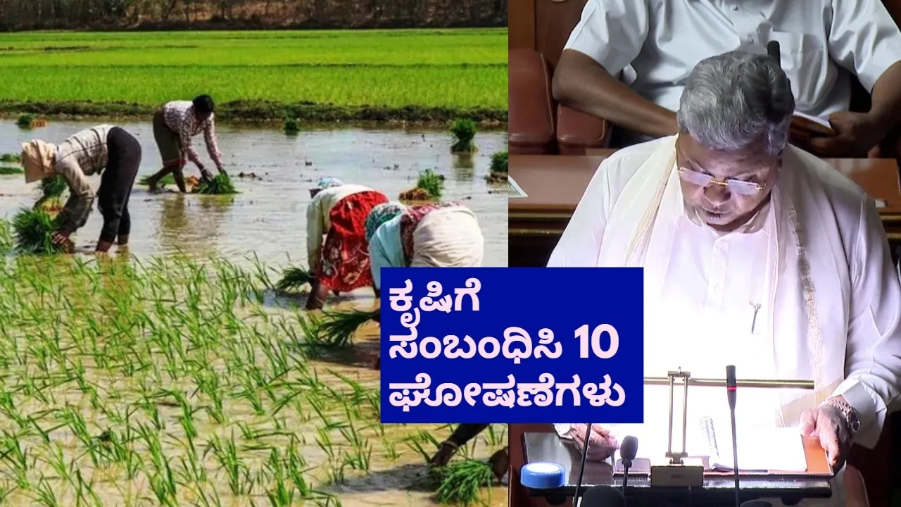 karnataka budget 2026 (1)