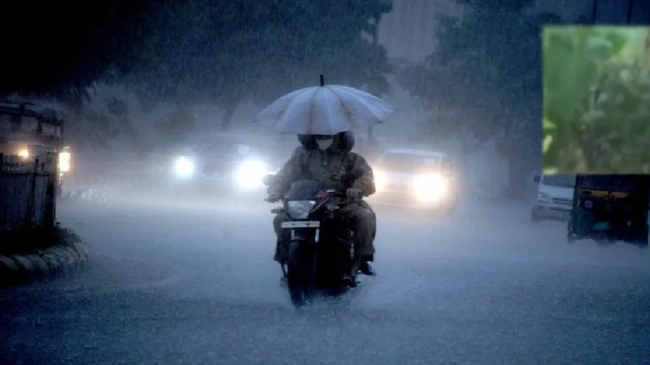 ರಾಜ್ಯದ ಈ ಪ್ರದೇಶಗಳಲ್ಲಿ ಇಂದು ಮಳೆ, ಬಿರುಗಾಳಿಯ ಮುನ್ಸೂಚನೆ; ಹವಾಮಾನ ಇಲಾಖೆ ಮಾಹಿತಿ